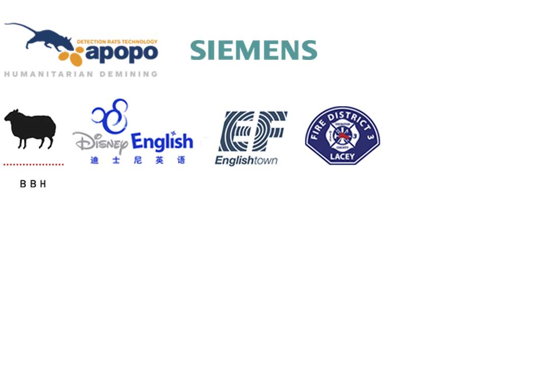 companylogo_reworkedCA